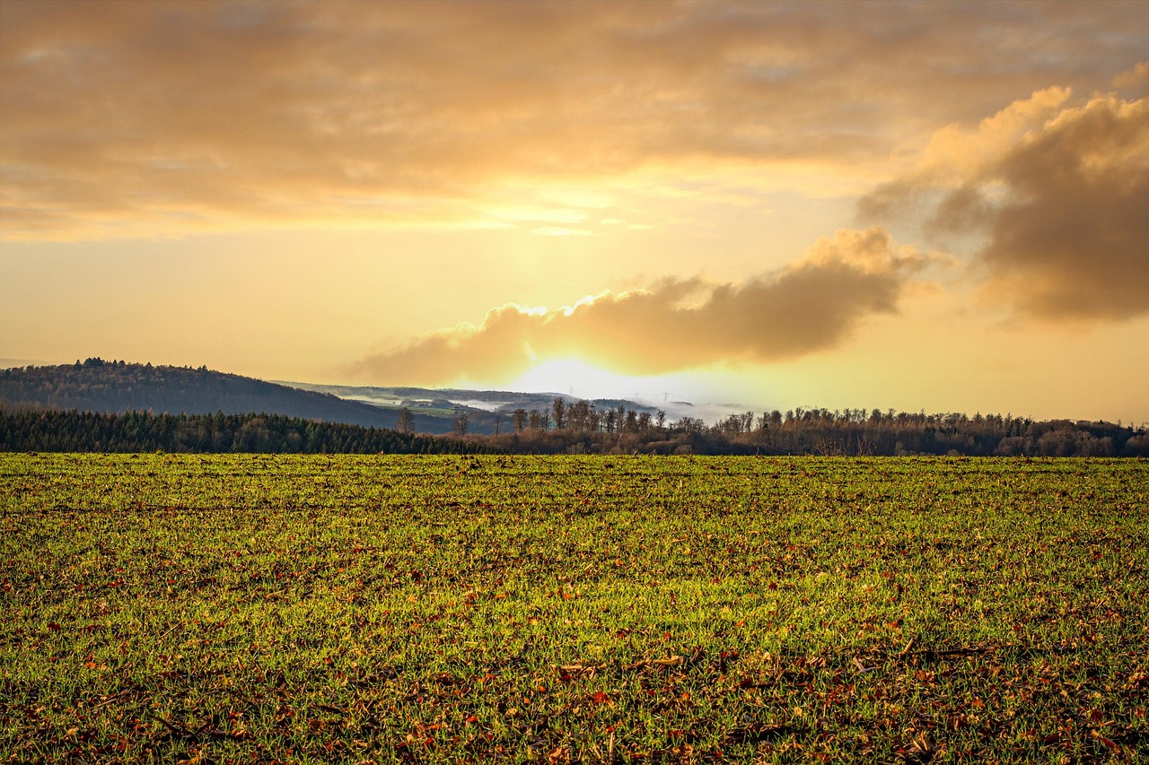 Terreno agricolo in vendita con cartello "In Vendita" e paesaggio rurale sullo sfondo.