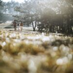 Confronto delle migliori assicurazioni vita del 2026 con grafici e statistiche.